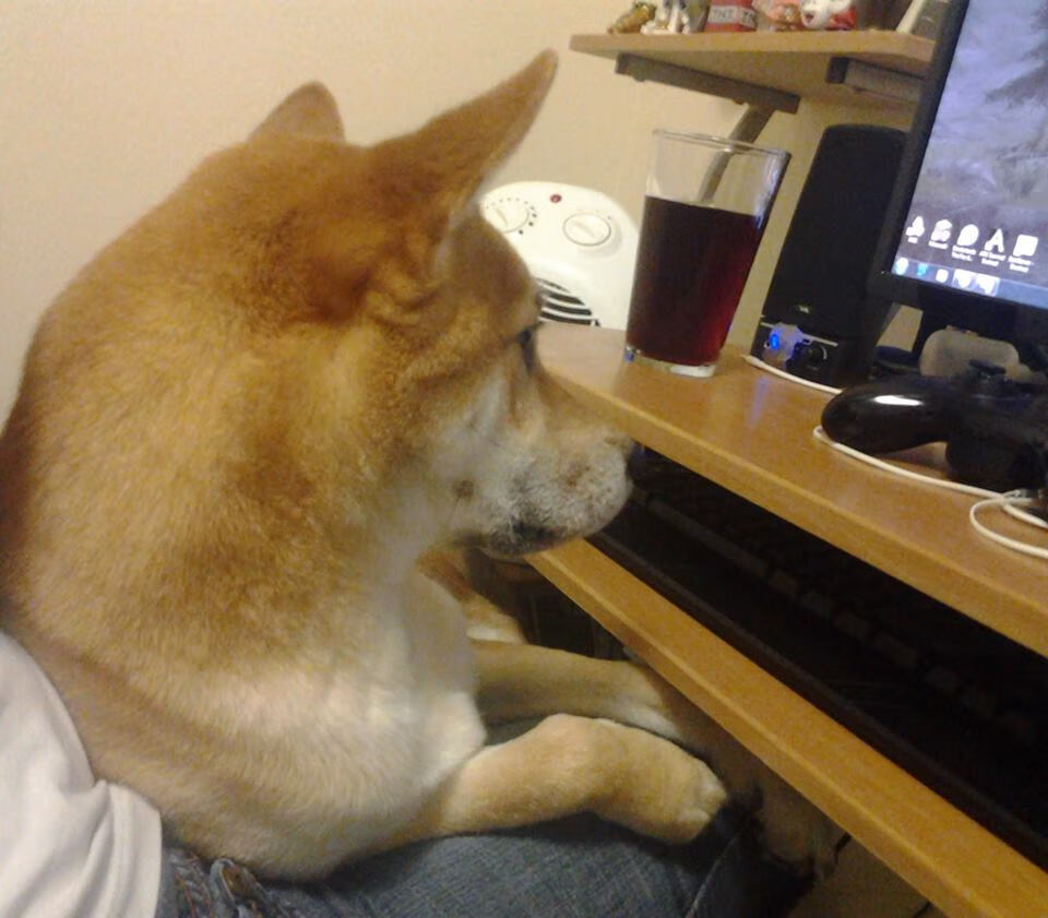 国际热身赛国足战败 球员状态起伏受质疑，国足热身赛安排